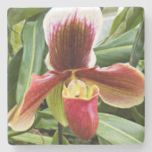 Red Lady Slipper Orchid Floral Steinuntersetzer (Vorderseite)