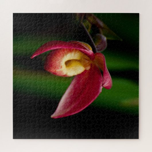 Red Lady Slippers Orchid Puzzle (Horizontal)