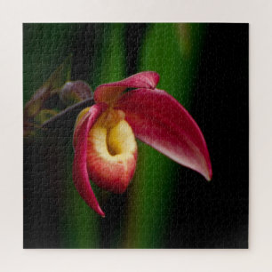Red Lady Slippers Orchid Puzzle