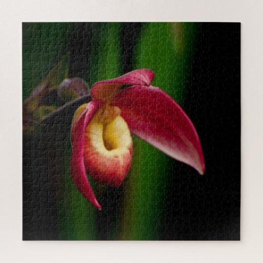 Red Lady Slippers Orchid Puzzle (Vertikal)