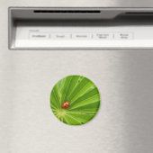 Red Ladybird auf Lupin Leaf Magnet (In Situ (Geschirrspüler))