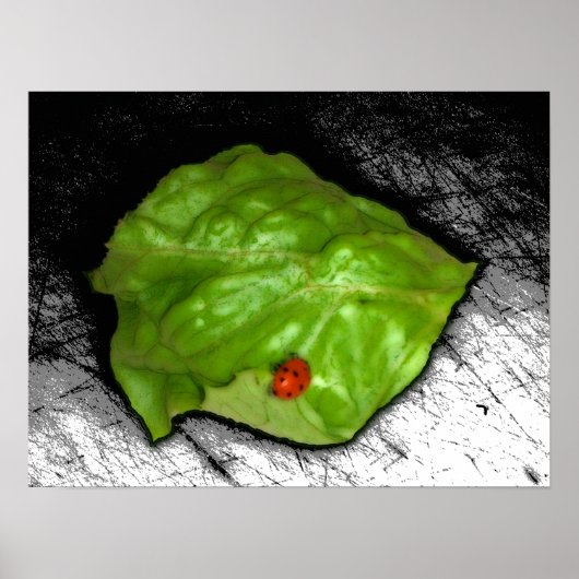 Red Ladybug über die Illustration des grünen Leaf Poster (Vorne)