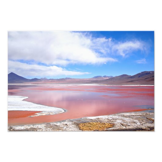 Red Lagoon, Laguna Colorada in Bolivien Fotodruck (Vorne)