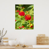 RED LANTANA Poster (Küche)