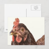 Red Lay Hen Chicken Foto Postkarte (Vorne/Hinten)