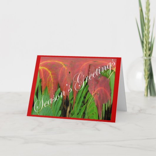Red Leaf & Fern Weihnachtskarte Feiertagskarte (Vorderseite)