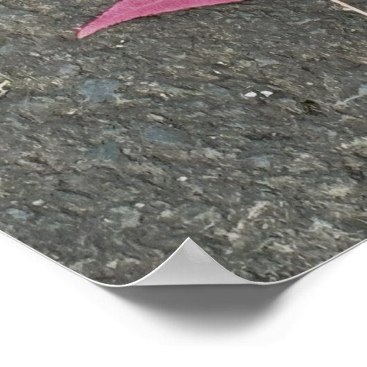 Red Leaf Foto Poster (Ecke)