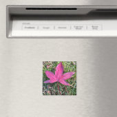 Red Leaf Magnet (In Situ (Geschirrspüler))