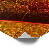 RED LEAF POSTER (Ecke)
