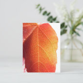 Red Leaf Postkarte (Stehend Vorderseite)