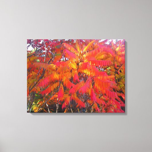 Red Leaf Tree 3 Canvas Print Leinwanddruck (Vorderseite)