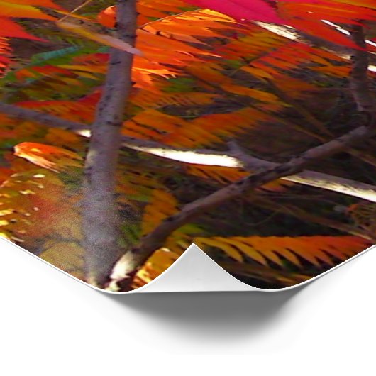 Red Leaf Tree Perfect Poster (Ecke)