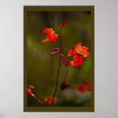 Red Leaves and Branches Poster (Vorne)