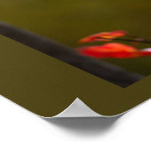 Red Leaves and Branches Poster (Ecke)