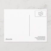 Red Leged Kittiwakes Postcard Postkarte (Rückseite)