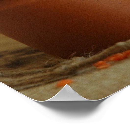 Red Lentils Poster (Ecke)