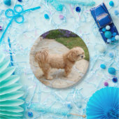 Red Lhasa Apso Hund Pappteller (Party)