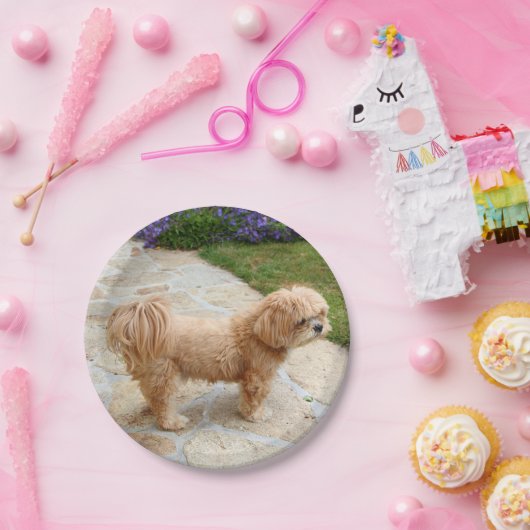 Red Lhasa Apso Hund Pappteller (Party)