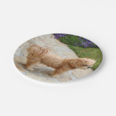 Red Lhasa Apso Hund Pappteller (Schrägansicht)