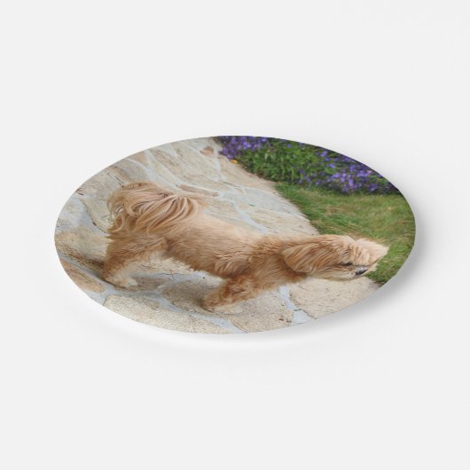 Red Lhasa Apso Hund Pappteller (Schrägansicht)