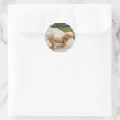 Red Lhasa Apso Hund Runder Aufkleber (Tasche)