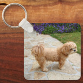 Red Lhasa Apso Hund Schlüsselanhänger (Vorderseite)