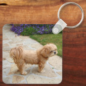 Red Lhasa Apso Hund Schlüsselanhänger (Rückseite)