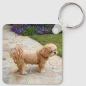 Red Lhasa Apso Hund Schlüsselanhänger (Rückseite)