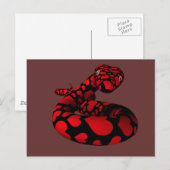 Red Liebe Python Postkarte (Vorne/Hinten)