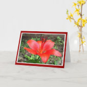 Red Lilie 1 Karte (Gelbe Blume)