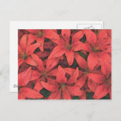 Red Lilies Postcard Postkarte (Vorne/Hinten)