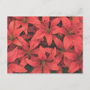 Red Lilies Postcard Postkarte