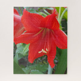 Red Lilly Blume Puzzle