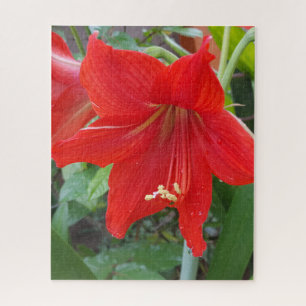 Red Lilly Blume Puzzle