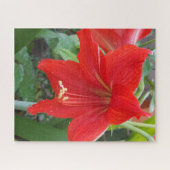 Red Lilly Blume Puzzle (Horizontal)