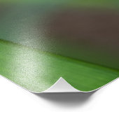 Red Lily Blume Fotodruck (Ecke)