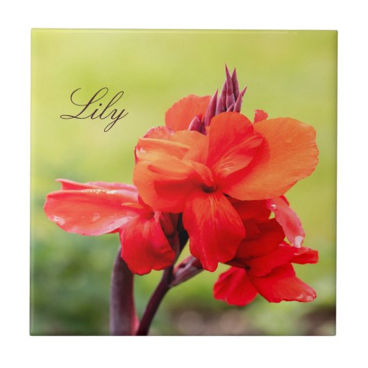 Red Lily Individuelle Name Fliese (Vorderseite)