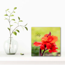 Red Lily Individuelle Name