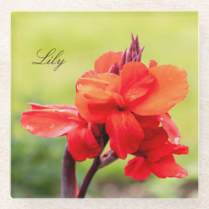 Red Lily Individuelle Name Glasuntersetzer