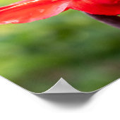 Red Lily Individuelle Name Poster (Ecke)