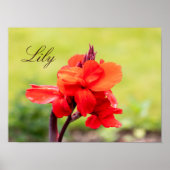 Red Lily Individuelle Name Poster (Vorne)