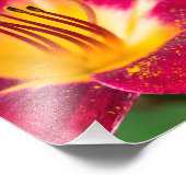 Red Lily Nah Macro Fotodruck (Ecke)