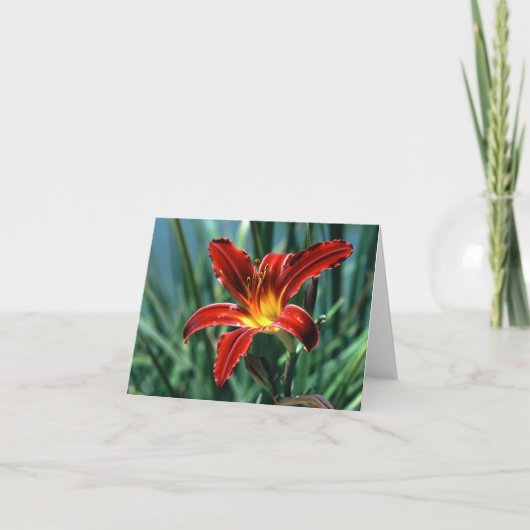 Red Lily Note Card Karte (Vorderseite)