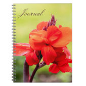Red Lily Notebook Notizblock (Vorderseite)