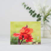 Red Lily Postkarte (Stehend Vorderseite)