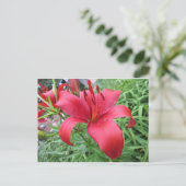 Red Lily Postkarte (Stehend Vorderseite)