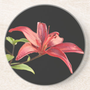 Red Lily Sandstone Untersetzer