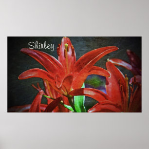 Red Lily Textured by Shirley Taylor Poster