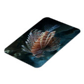Red Lionfish Foto Magnet (Linke Seite)