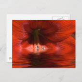 Red Liquid Postkarte (Vorne/Hinten)